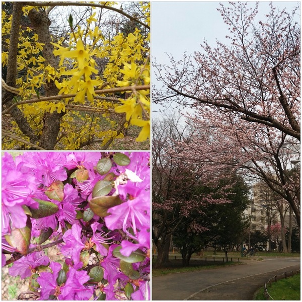 20180427_221949.jpg