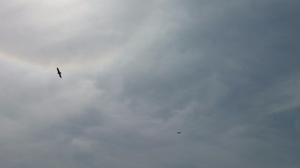20190430_101439.jpg