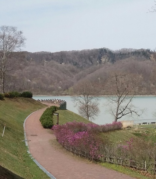 20190430_110321-1.jpg
