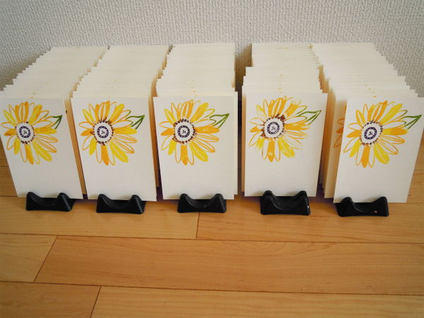 DSCN6747.jpg