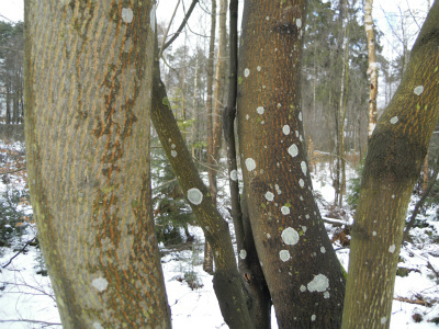 DSCN8338.jpg