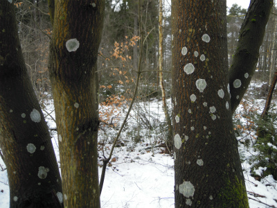 DSCN8340.jpg