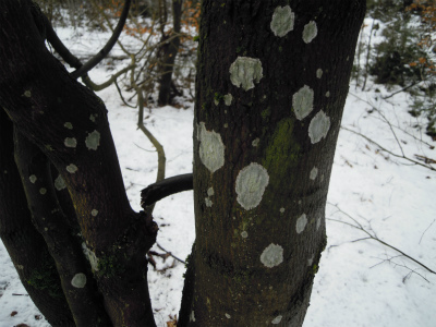 DSCN8344.jpg