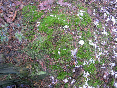 DSCN8356.jpg