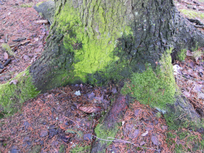 DSCN8357.jpg