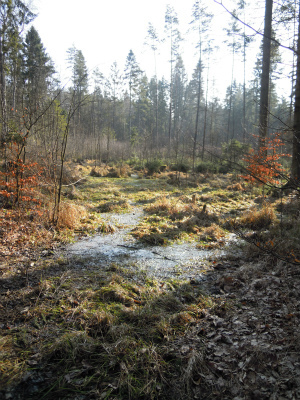 DSCN9000.jpg