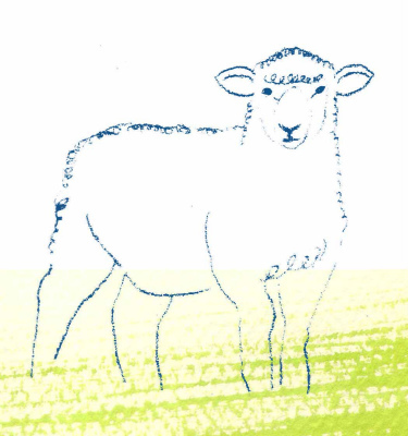 pochi2015.jpg